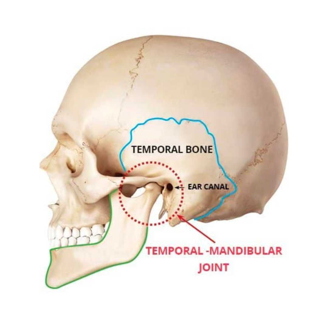 TMJ Treatment Calgary | Dentalife | Dr. Curtis Westersund